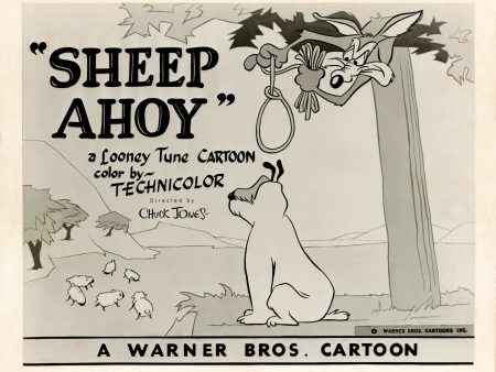 Sheep Ahoy Online Hot Sale