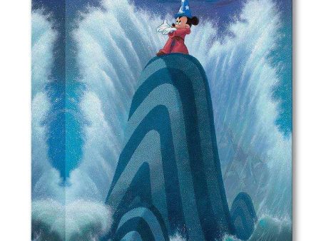 Disney Limited Edition: Wave Maker For Cheap